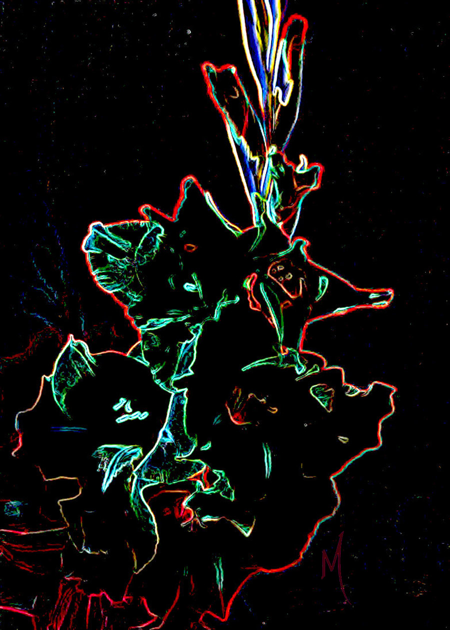 Glads