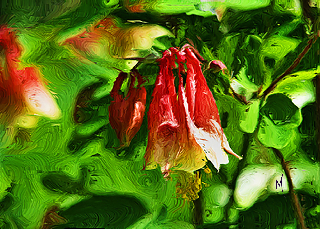 Columbine