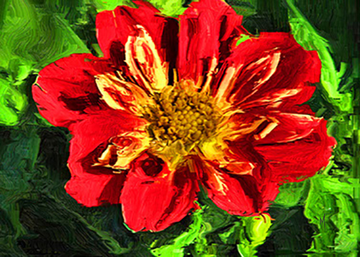 Dahlia