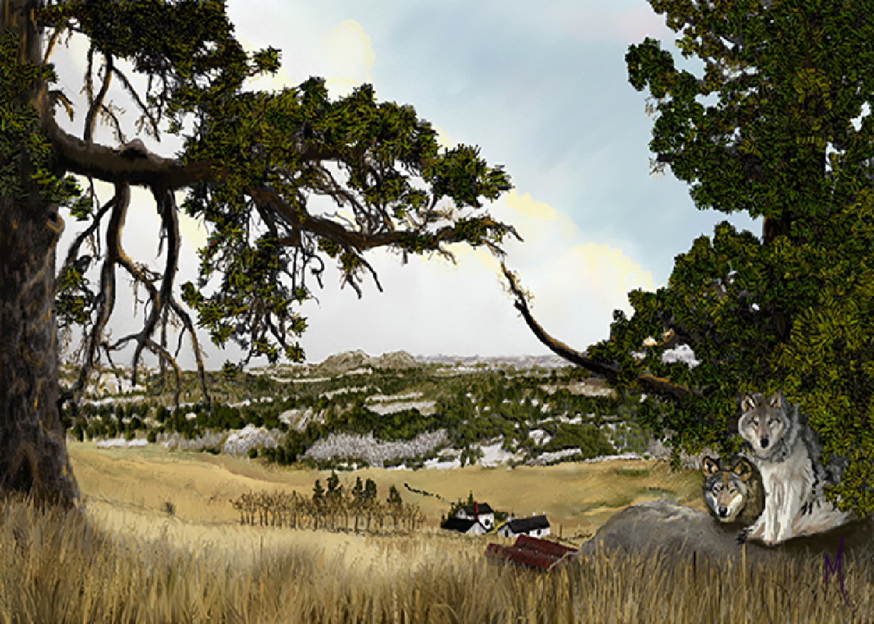 Farm