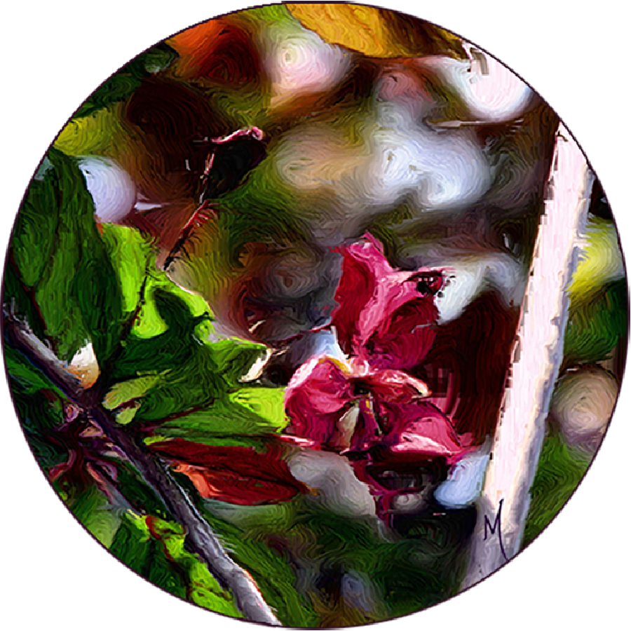 Plum Blossoms