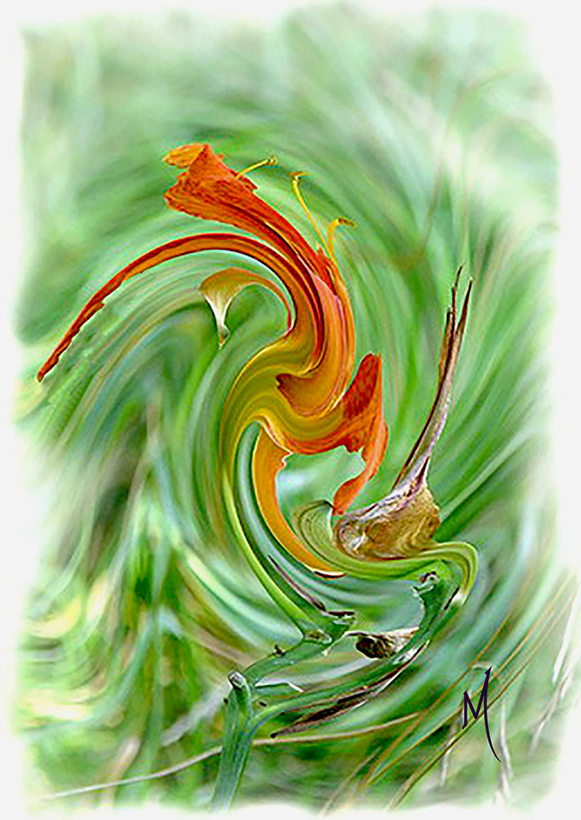 Lily Dance