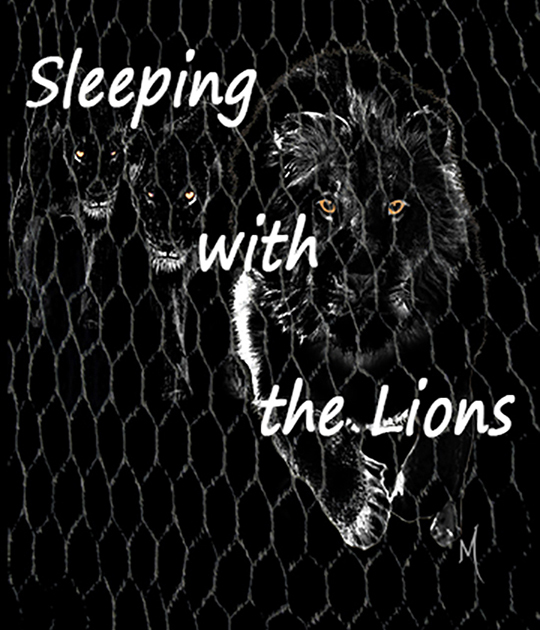 Sleeping with Lions
