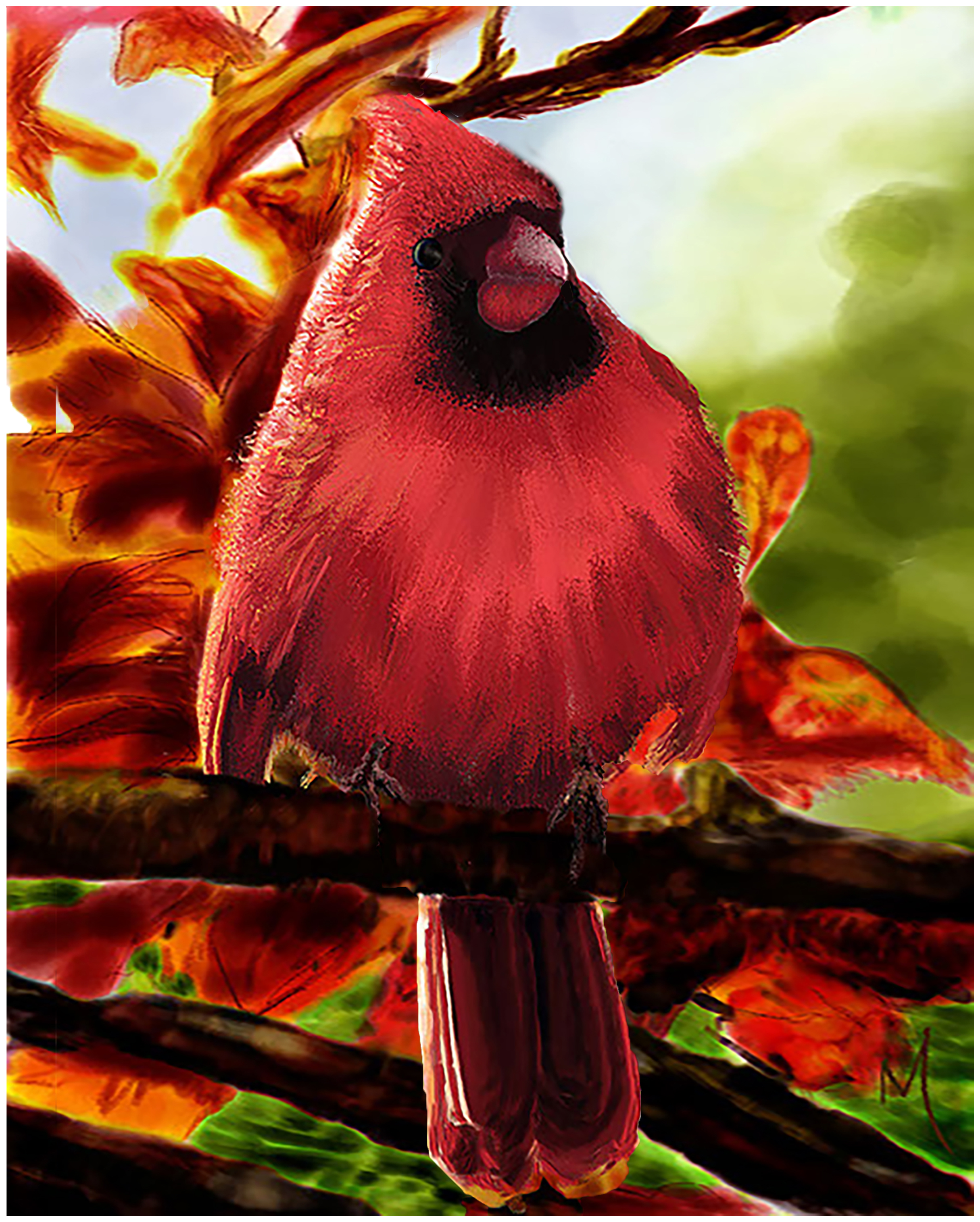 Cardinal